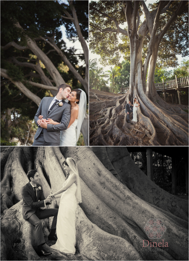 Big Tree Balboa Park Wedding San Diego Wedding Photographer 06
